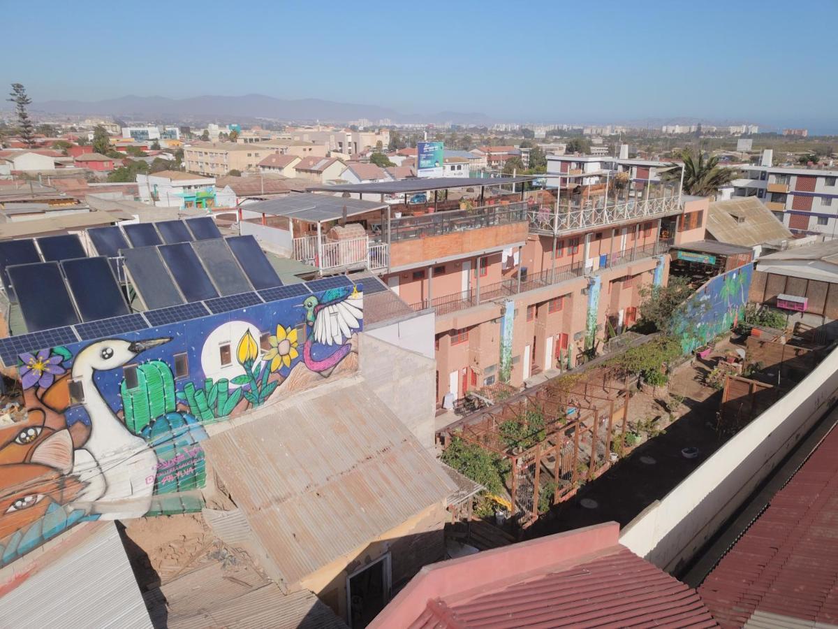 Hostal Valle Mistral La Serena Exteriér fotografie