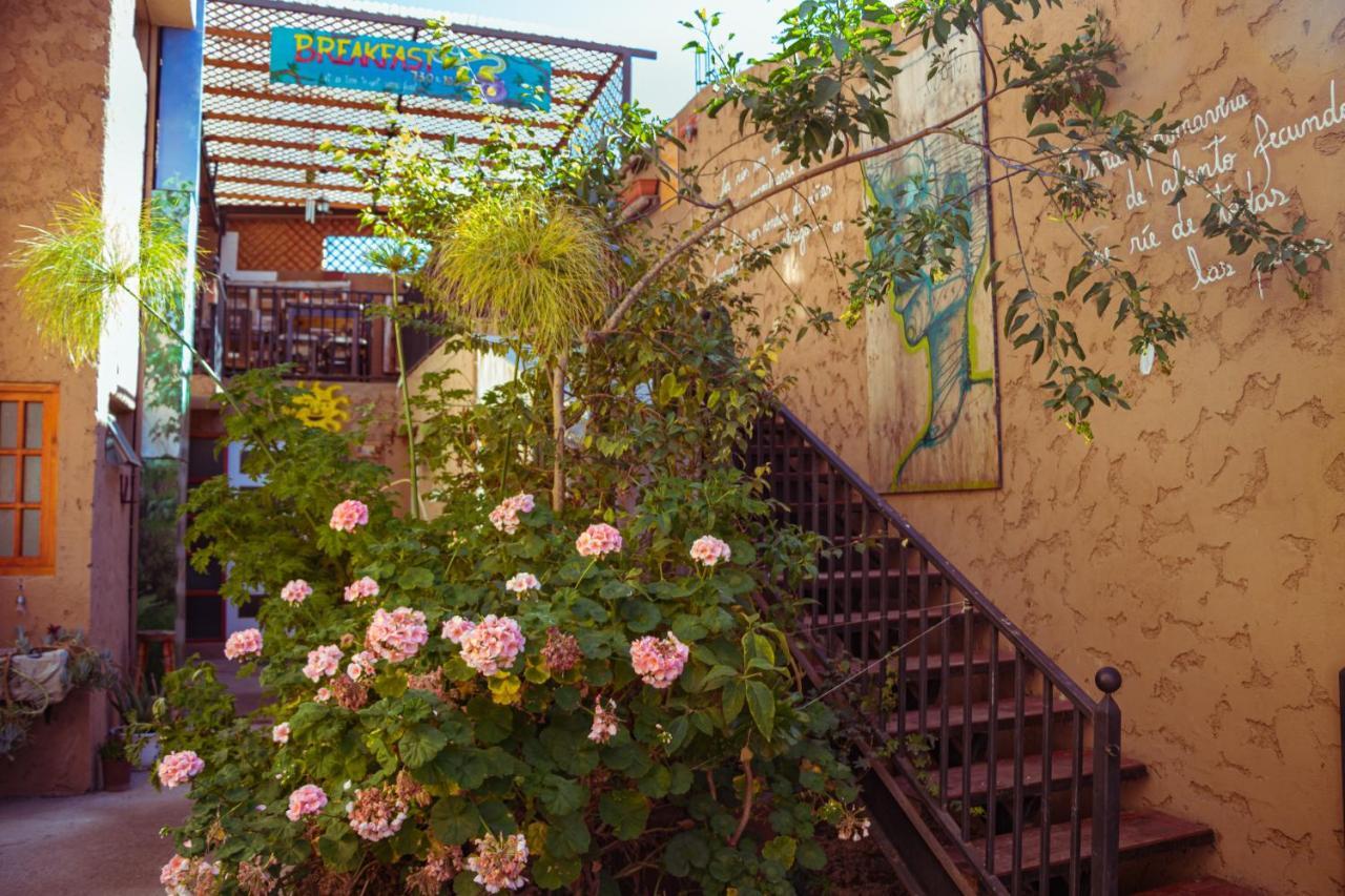 Hostal Valle Mistral La Serena Exteriér fotografie